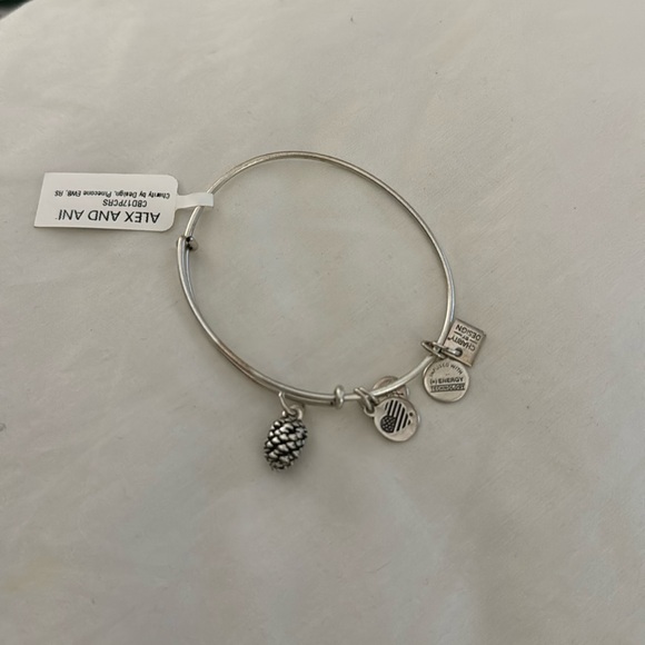 Alex & Ani pine cone bracelet - Picture 1 of 2